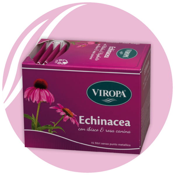 echinacea mit Hibiskus und hagebutte